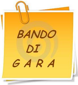 Foto news 244